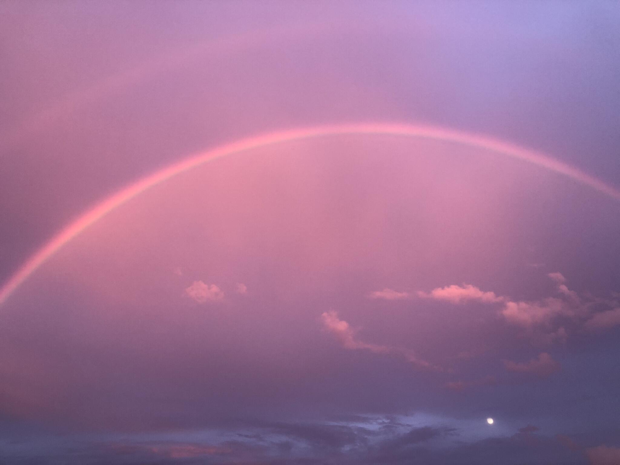 857E Caribbean Dr Summerland Key, FL 33042