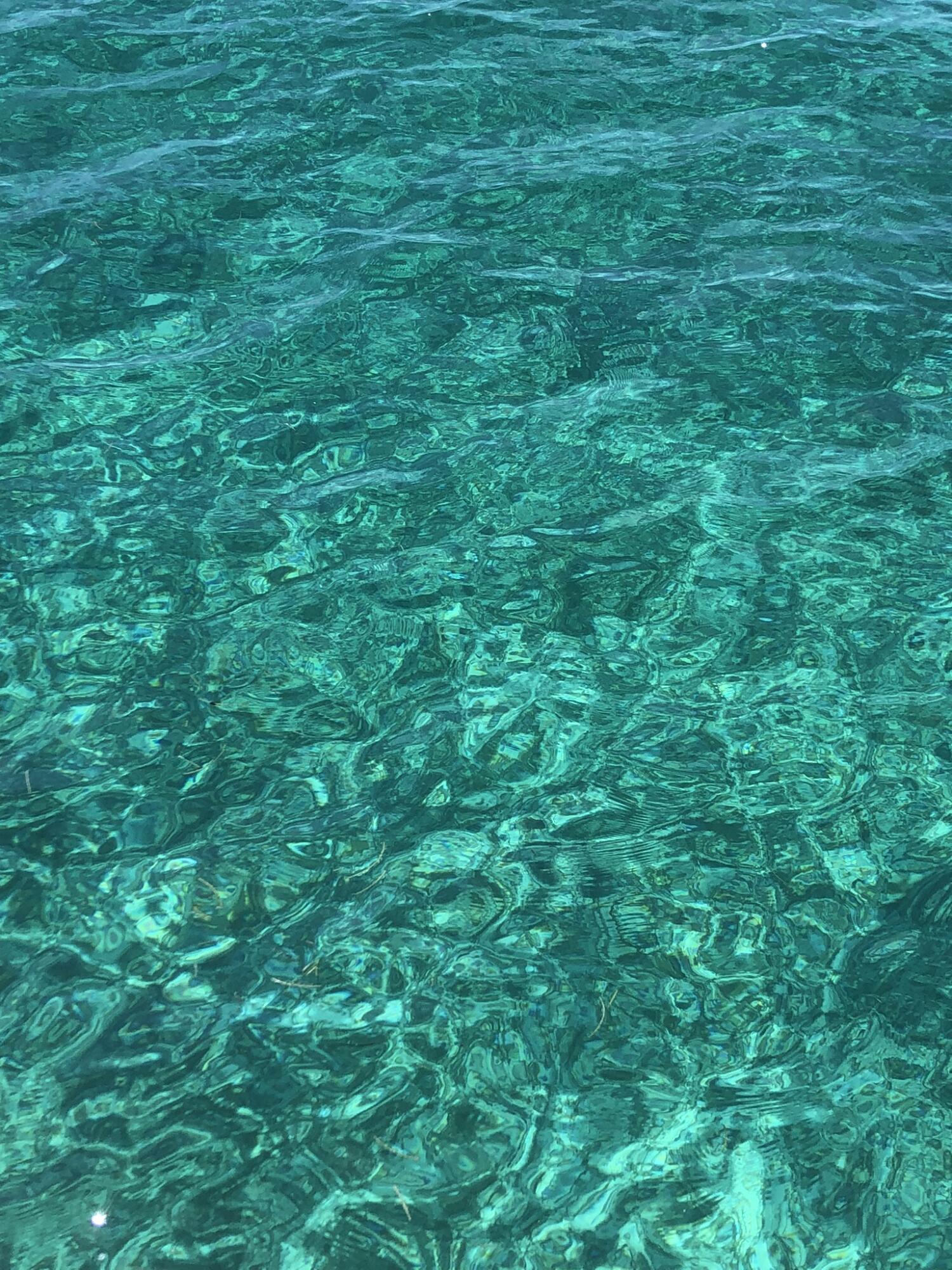 857E Caribbean Dr Summerland Key, FL 33042