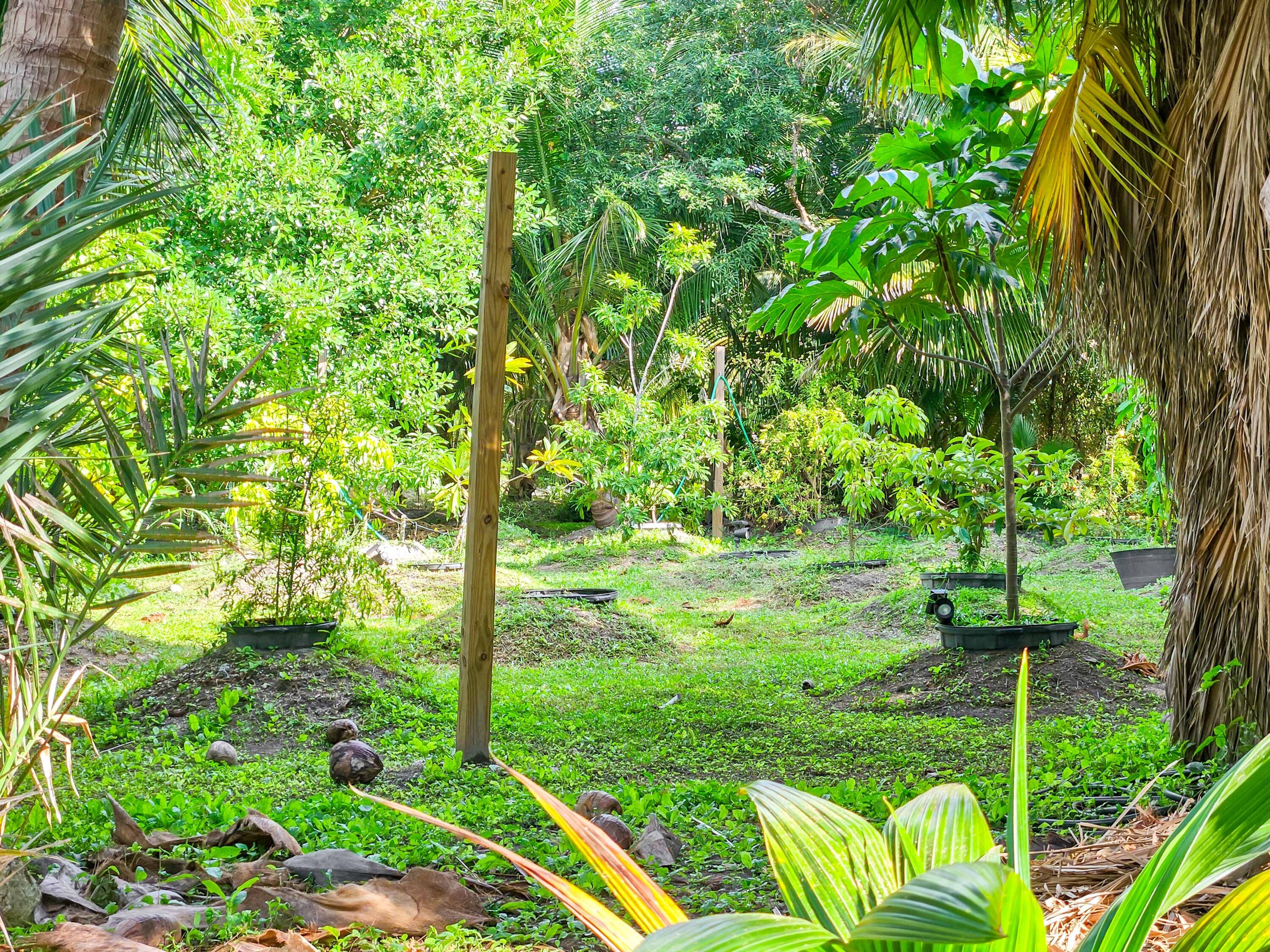 125 Colson Dr Cudjoe Key, FL 33042